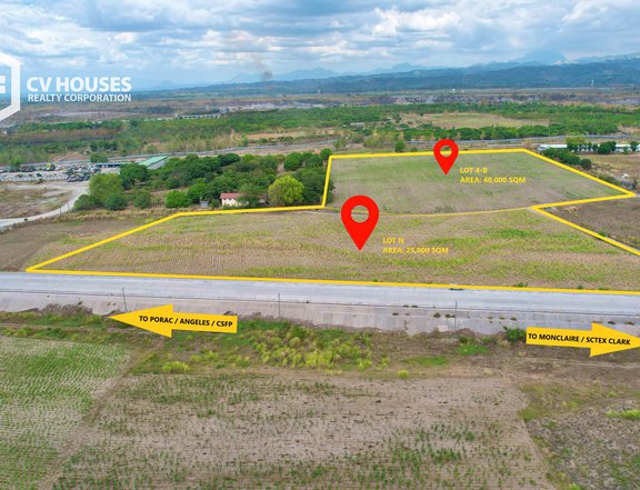 AGRICULTURAL FARM LOT FOR SALE LOCATED AT PORAC PAMPANGA