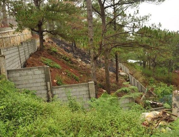 LOT FOR SALE IN DONTOGAN BAGUIO CITY