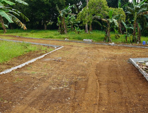 Farm lot for sale in Alfonso Cavite