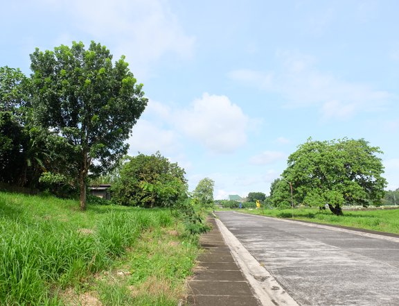 Parco Royal Subdivision in Alaminos Laguna