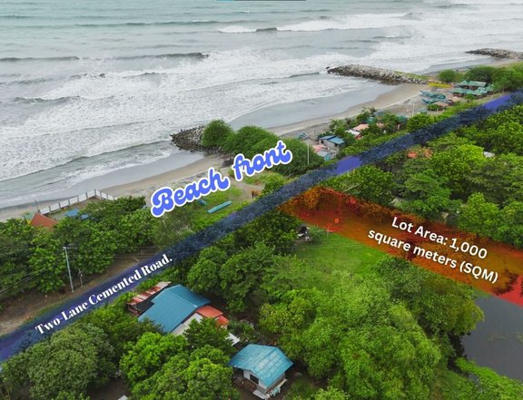 1,000 sqm Beach Property For Sale in Agoo La Union