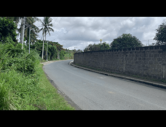 5 hectares tabing main road.Flat land may bakod na buong palibot