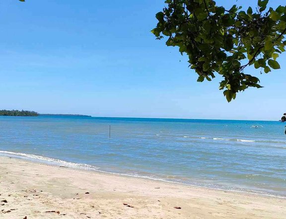 2-Hectare Beach Property in Aborlan, Puerto Princesa Palawan
