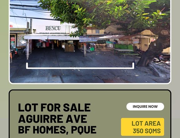 350sqm Commercial / Residential Lot - Aguirre Ave, BF Homes, Paranaque City