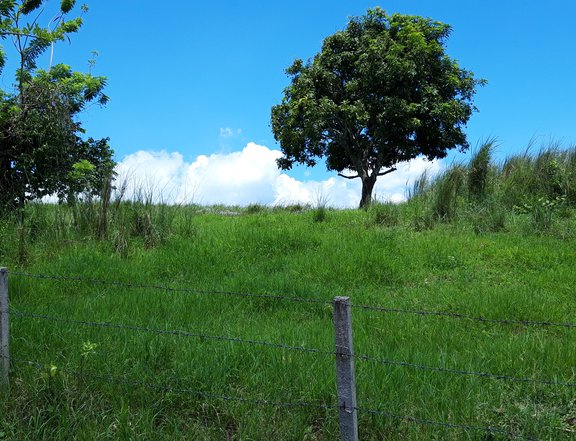 Tagaytay City Cavite Vacant Lot For Sale Lot 1