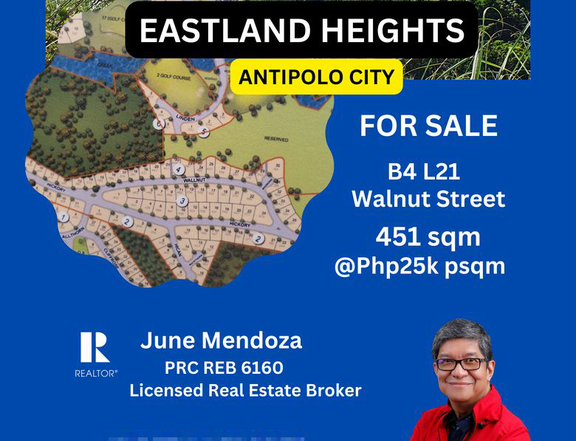 451 sqm Residential Lot For Sale EASTLAND HEIGHTS