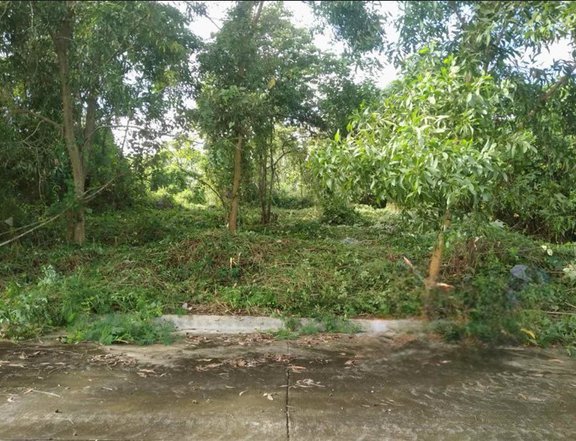 450 sqm lot for sale in Eastland Heights Phase3 Antipolo Rizal