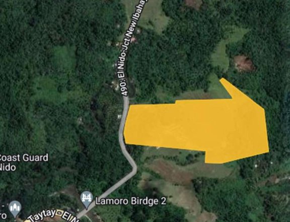 7.33 hectares Commercial Lot For Sale by Ayala Land in Brgy. Pasadena El Nido Palawan