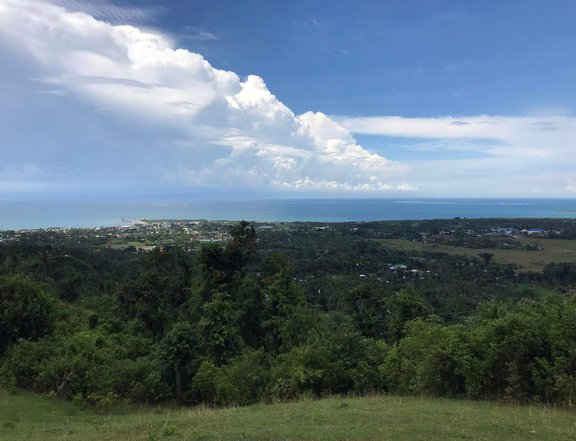 Overlooking Seaview 1,000-5,000sqm Agricultural Farm Tubigon, Bohol, Philippines