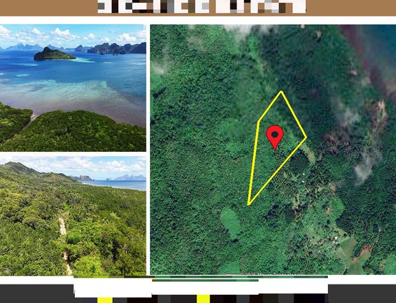 45,863 m2 / 11.3 Acres Grand Overlooking Seaside Estate in El Nido