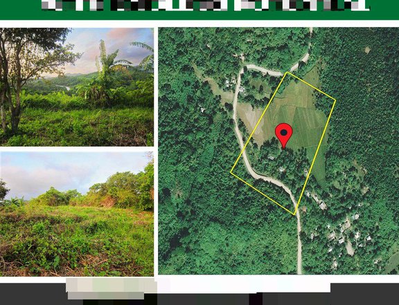 52,610 m2 / 13.0 Acres Overlooking Agricultural Estate with Boundless Potential in El Nido