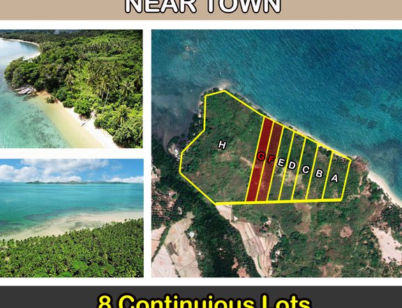 San Fernando, El Nido Outstanding Recreational White Beachfront Subdivision