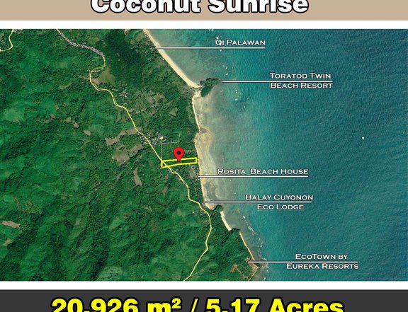 20,926 m2  White Beachfront Coconut Sunrise in El Nido