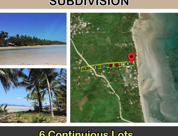 Sibaltan, El Nido Sunrise White Beach Subdivision