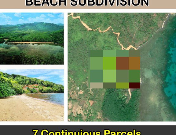 8,058 m2 / 2 Acres Sibaltan, El Nido Nature Lovers Exclusive Beachfront Subdivision