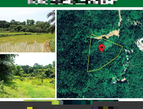 47,513 m2 / 11.7 Acres A Homestead Estate for Development Near Airport in El Nido