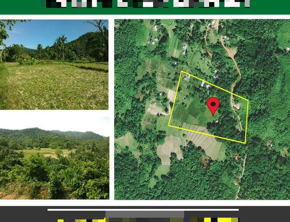 37,649 m2 / 9.30 Acres Shangri-la Homestead Estate Near Airport