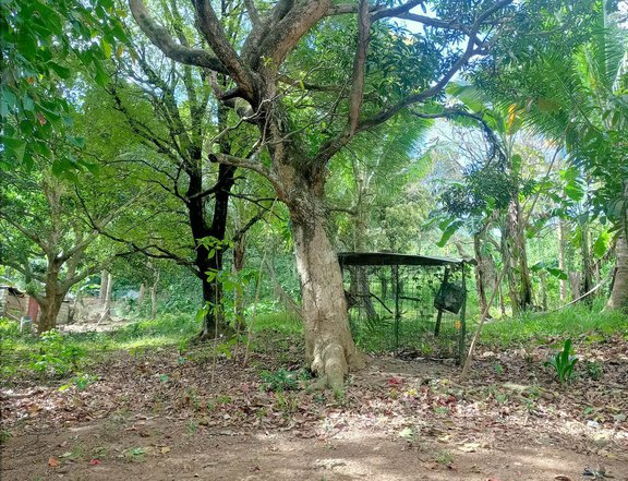 18882 sqm Agricultural Farm For Sale in Tanay Rizal