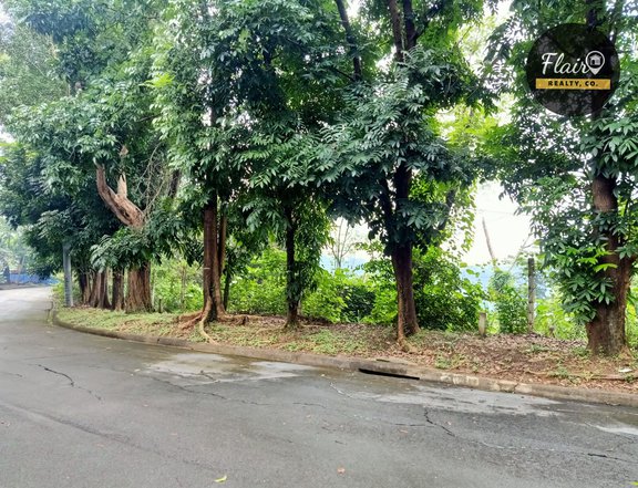 RESIDENTIAL LOTS IN AN EXECUTIVE SUBDIVISION ALONG ORTIGAS AVENUE EXT.