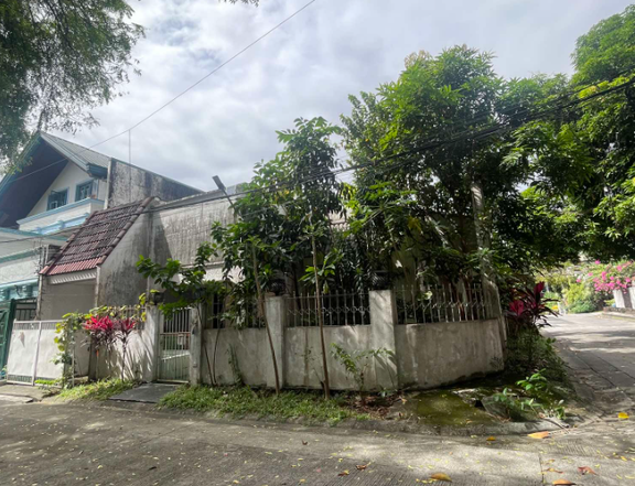 220 SQ M CORNER LOT NORTH SUSANA EXECUTIVE VILLAGE, MATANDANG BALARA, QUEZON CITY