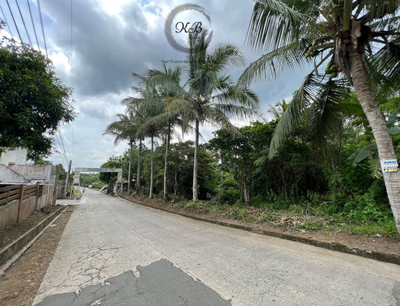 1.3 hec titled lot for sale at Silang Cavite near Aguinaldo Highway