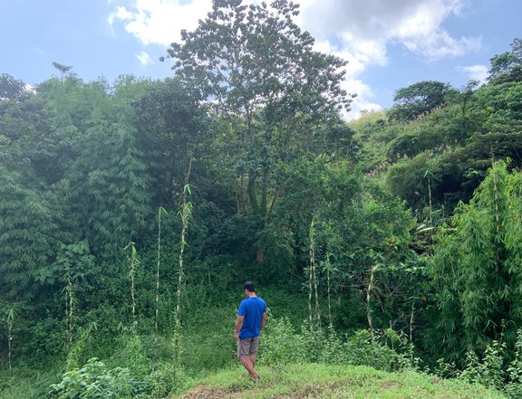 Agricultural land with 2 unfinished bungalow house. Along barangay road. Former citrus plantation.