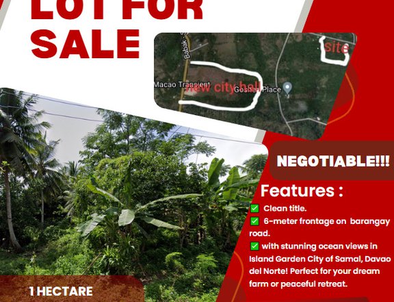 1 hectare for Sale in Samal Davao Del Norte