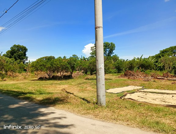 1,000 sqm Agricultural Farm For Sale in Tiaong Quezon