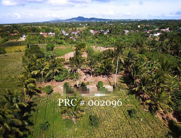 NEAR TAGAYTAY CITY RESIDENTIAL SUBDIVISION LOT ONLY