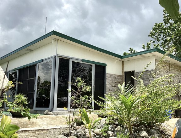 Residential Farm in General Tinio, Nueva Ecija with 50 Mango Trees