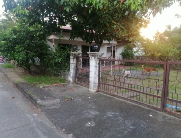 300sqm Bungalow for Sale in Meadowood Exec Village Aguinaldo Highway Bacoo