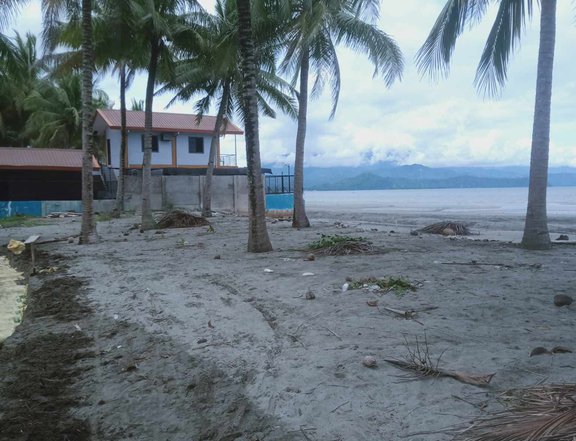 400 sqm Beach Property For Sale in Lupon Davao Oriental