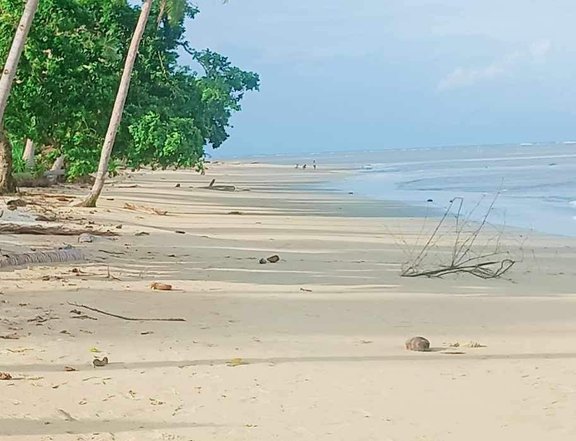 3,647 sqm Beach Property For Sale in Puerto Princesa Palawan