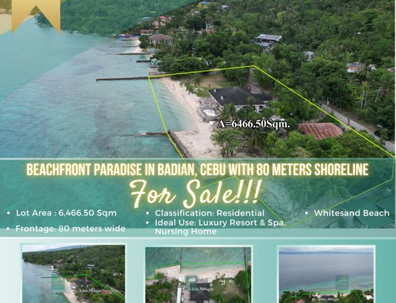 For Sale Prime White Sand Beach Lot in Badian, Cebu