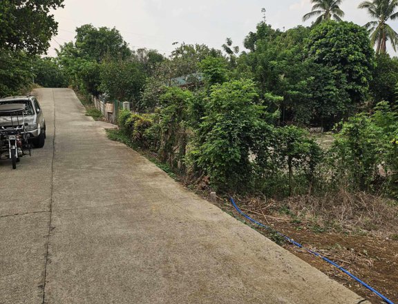 548 sqm Residential Farm Lot For Sale in Alfonso Cavite Build your dream Rest house here