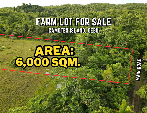 Farm Lot For Sale in Camotes Island, Cebu, Philippines