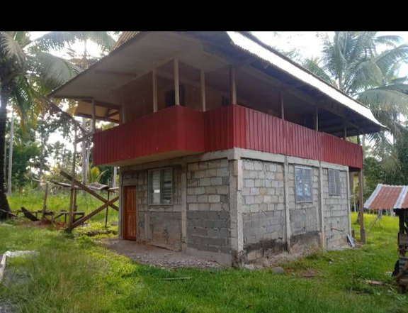 FOR SALE 107sqm. flood free farm lot in Burgos, Aloran, Misamis Occidental