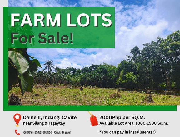 Discounted 1,000 sqm Resi-Farm Lot for Sale in Indang Cavite