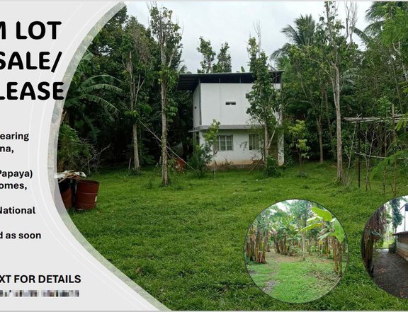 2808 sqm Agricultural Farm For Sale in Bay Laguna