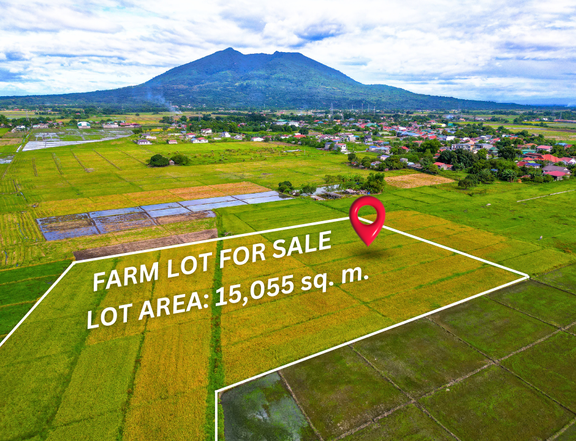 1.51 hectares Agricultural Farm For Sale in Arayat Pampanga