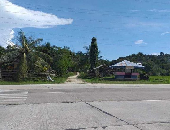 Roxas, Palawan farm land 15 hectares for sale!