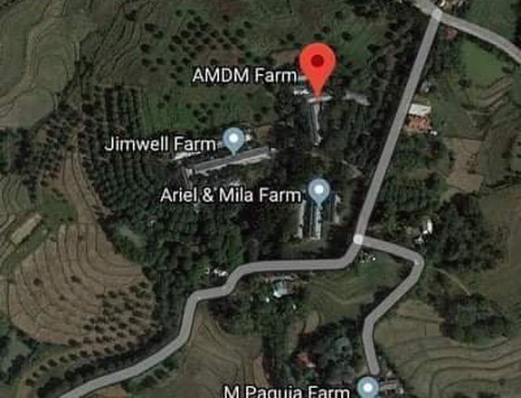 Farm For Sale