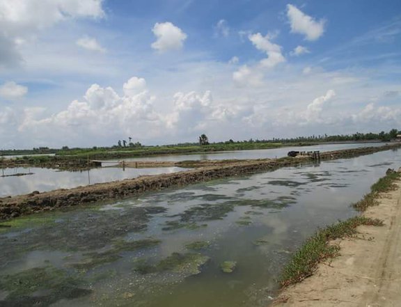 3 hectares fishpond for sale in Roxas City Capiz .