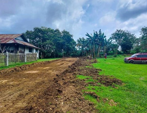 250 sqm Residenstial Farm For Sale in Indang Cavite
