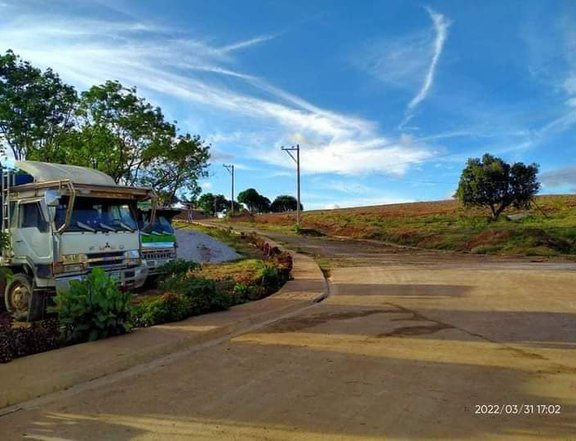 Residential and Residential Farm Lot in Pililia Rizal