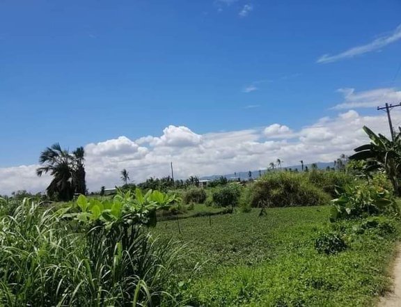 Residencial lot