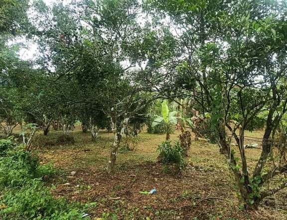 1000 sqm Residential Lot For Sale in Tiaong Quezon