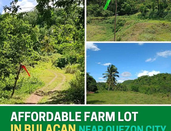100 sqm Residential Farm in Dona Remedios Trinidad.