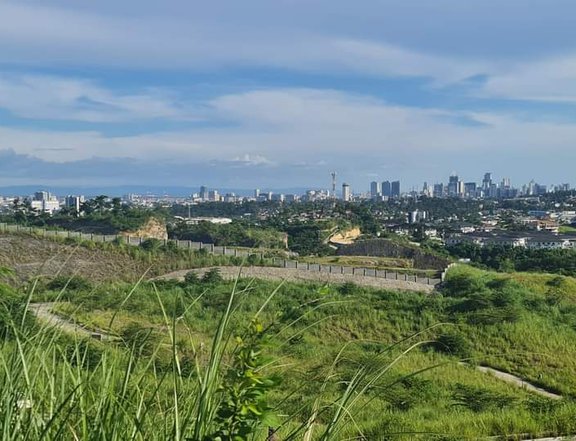 433 sqm Residential Lot For Sale in Cebu City Cebu