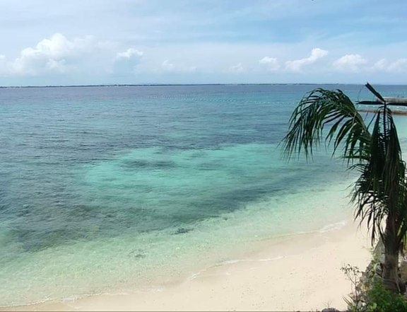 358 sqm Beach Property For Sale in Mactan Lapu-Lapu Cebu
